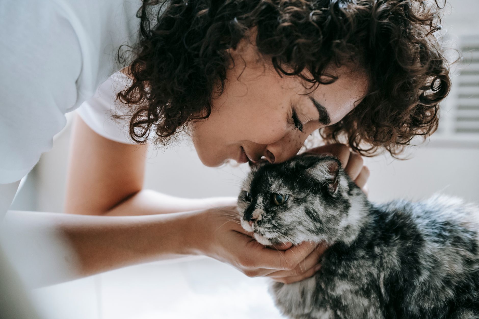 Veterinere Gitmeyi Erteleyenlerin En Çok Pişman...