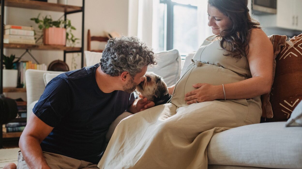 dog pregnancy 5427953