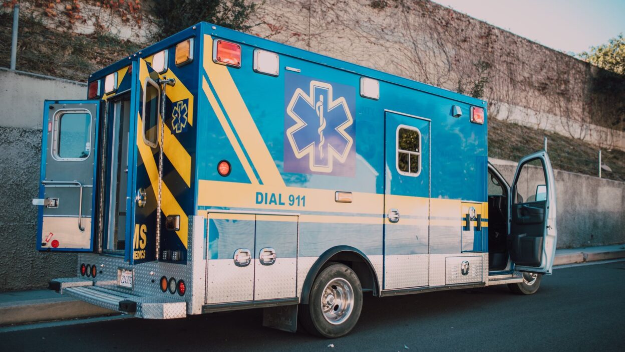 emergency veterinarian 6519841
