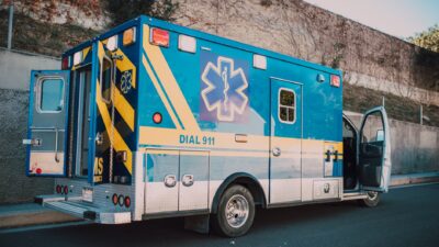 emergency veterinarian 6519841